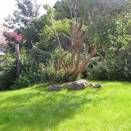 Ruhe-natur-meerblick-das-atelier-in-lohme-wandern-radfahren-golf-direkt-vor-der-tuer *