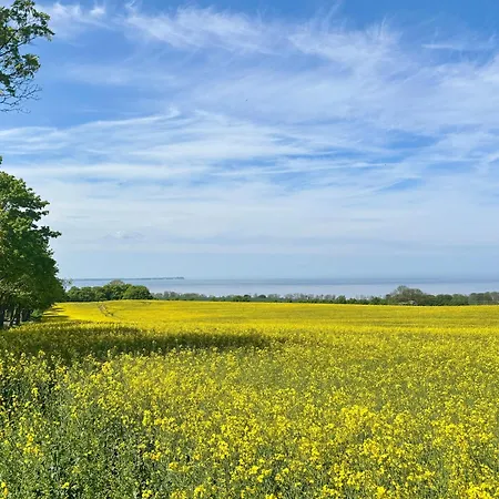 Ruhe-natur-meerblick-das-atelier-in-lohme-wandern-radfahren-golf-direkt-vor-der-tuer Tatil Evi *
